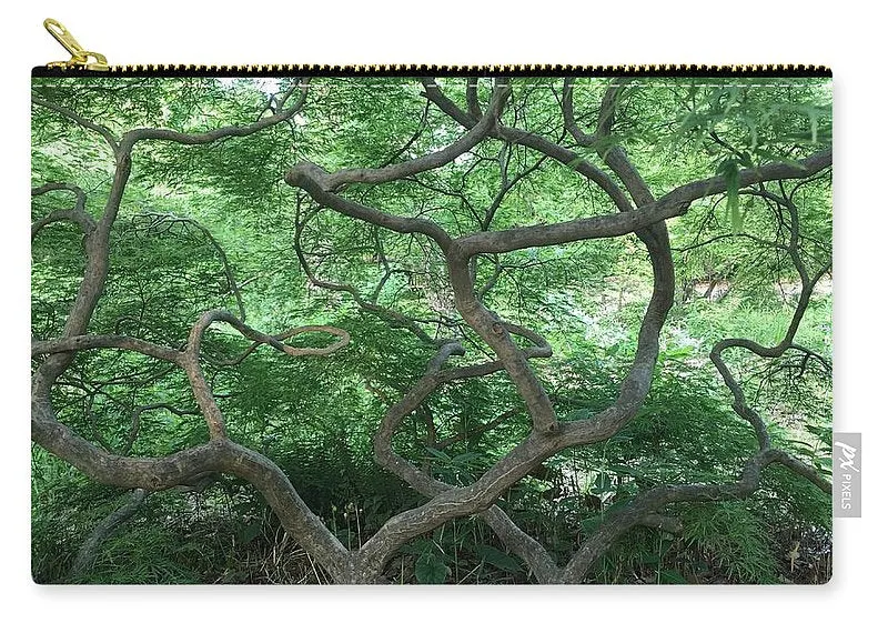 Cascading Japanese Maple - Carry-All Pouch