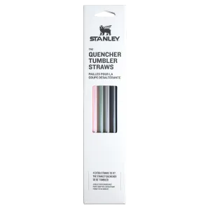 The Fall Refresh Quencher Straws for Tumblers | 30 OZ | 4-Pack
