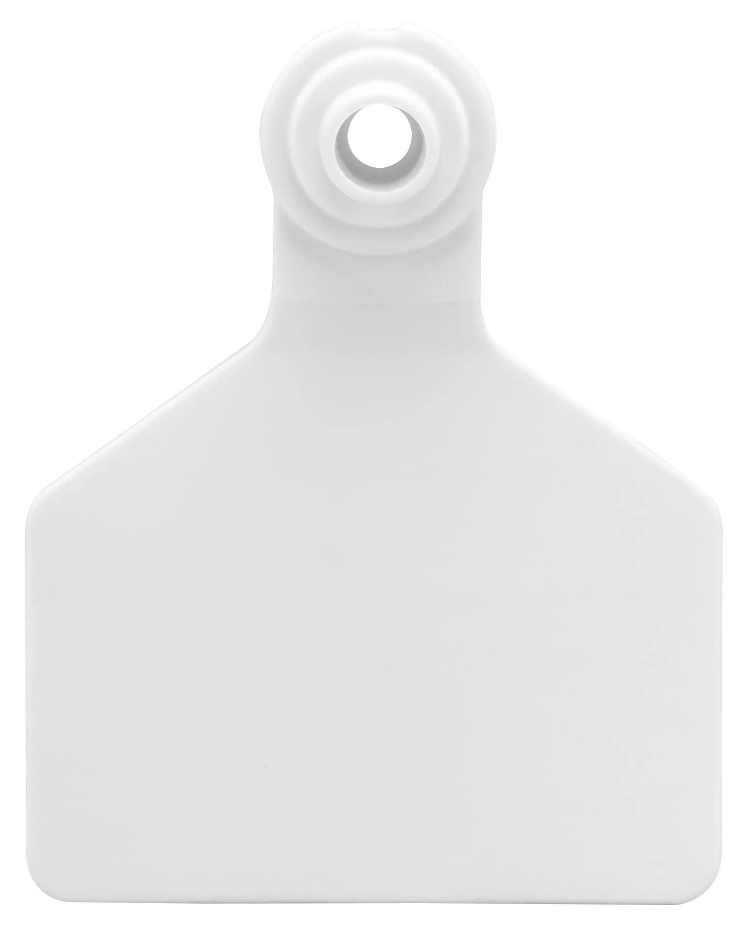 Z Tags Blank Ear Tags (Large), 25 count