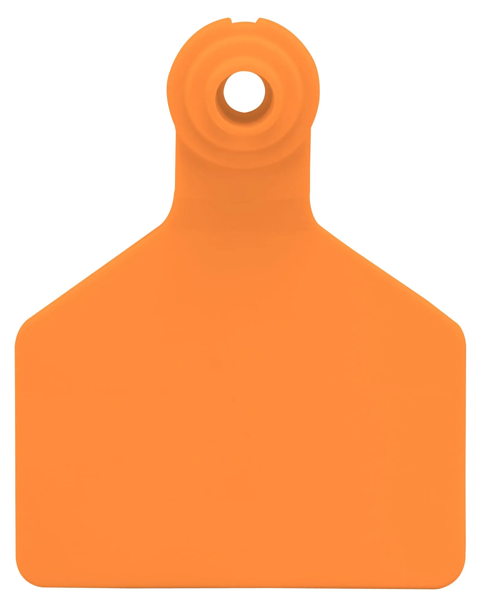 Z Tags Blank Ear Tags (Large), 25 count